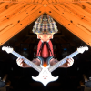 pinkguitar