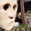hsapien