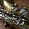 saxinparis