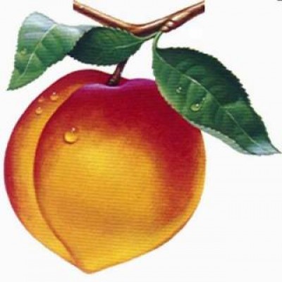 peachtree