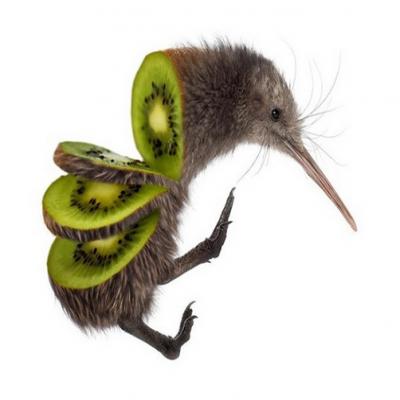 Cpt-Kiwi