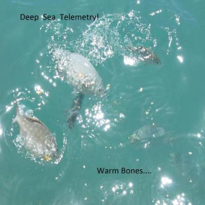 Telemetry