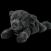 Panther