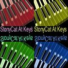 StonyCat At Keys