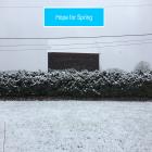 Hopeful Spring