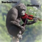 Barbarian Monkey