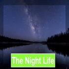 The Night Life