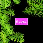 Exotic