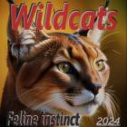 Wildcats Feline instinct