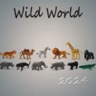 Wild World