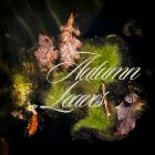 Autumn leaves