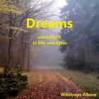 Dreams eternalized in bits and bytes