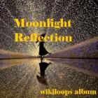 Moonlight Reflection