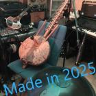 Made in 2025
