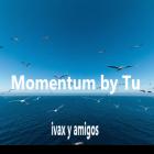 Momentum by Tu