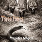 Three Foxes , Mamba Negra